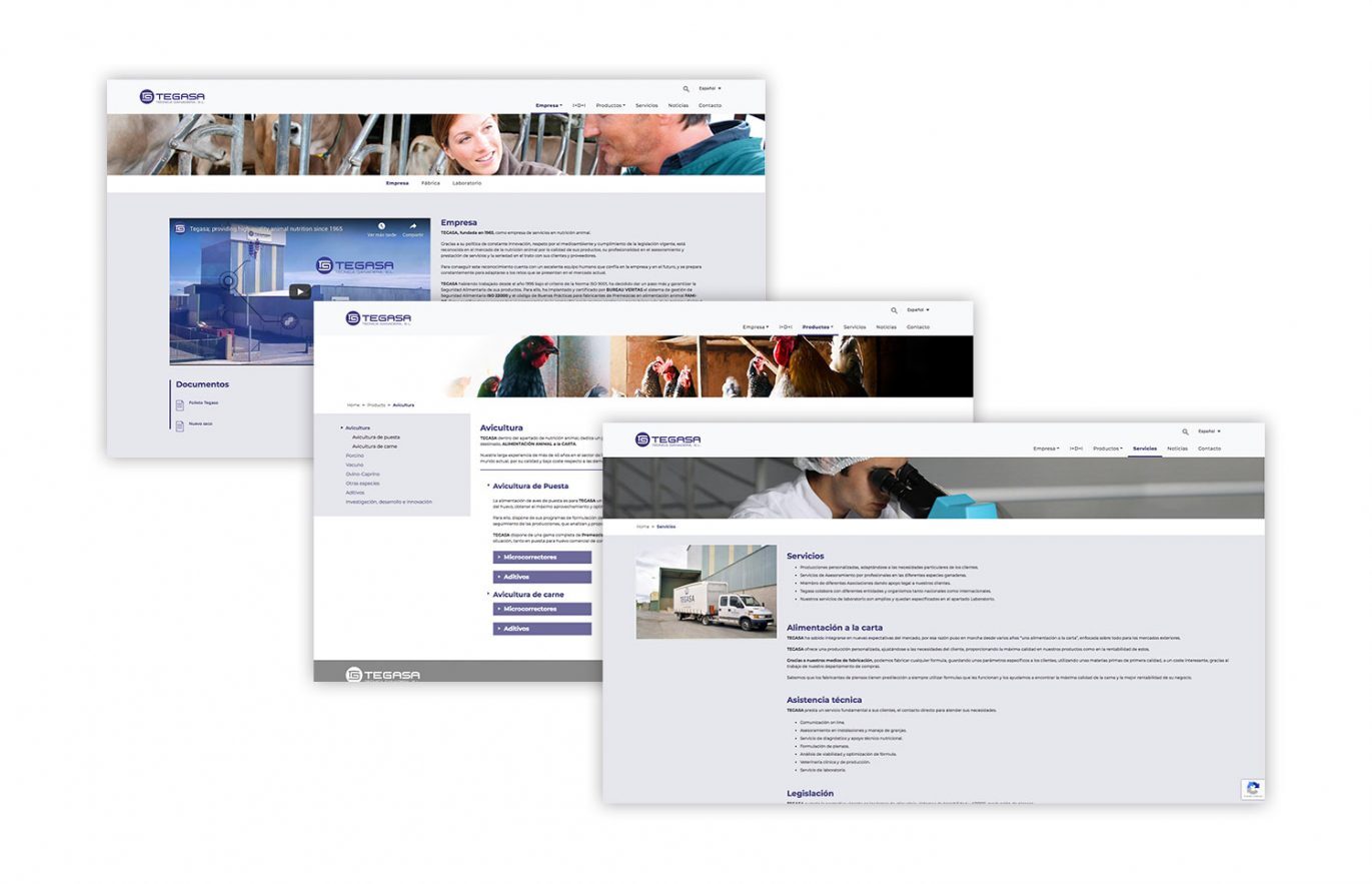 diseno-de-pagina-web