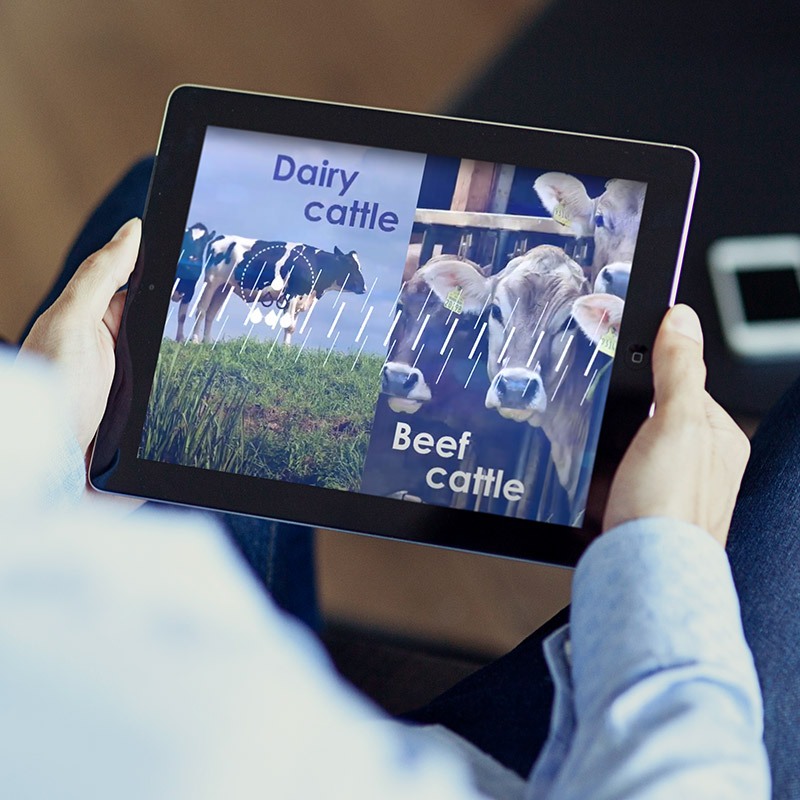 diseno de video corporativo barcelona - Realización vídeo corporativo