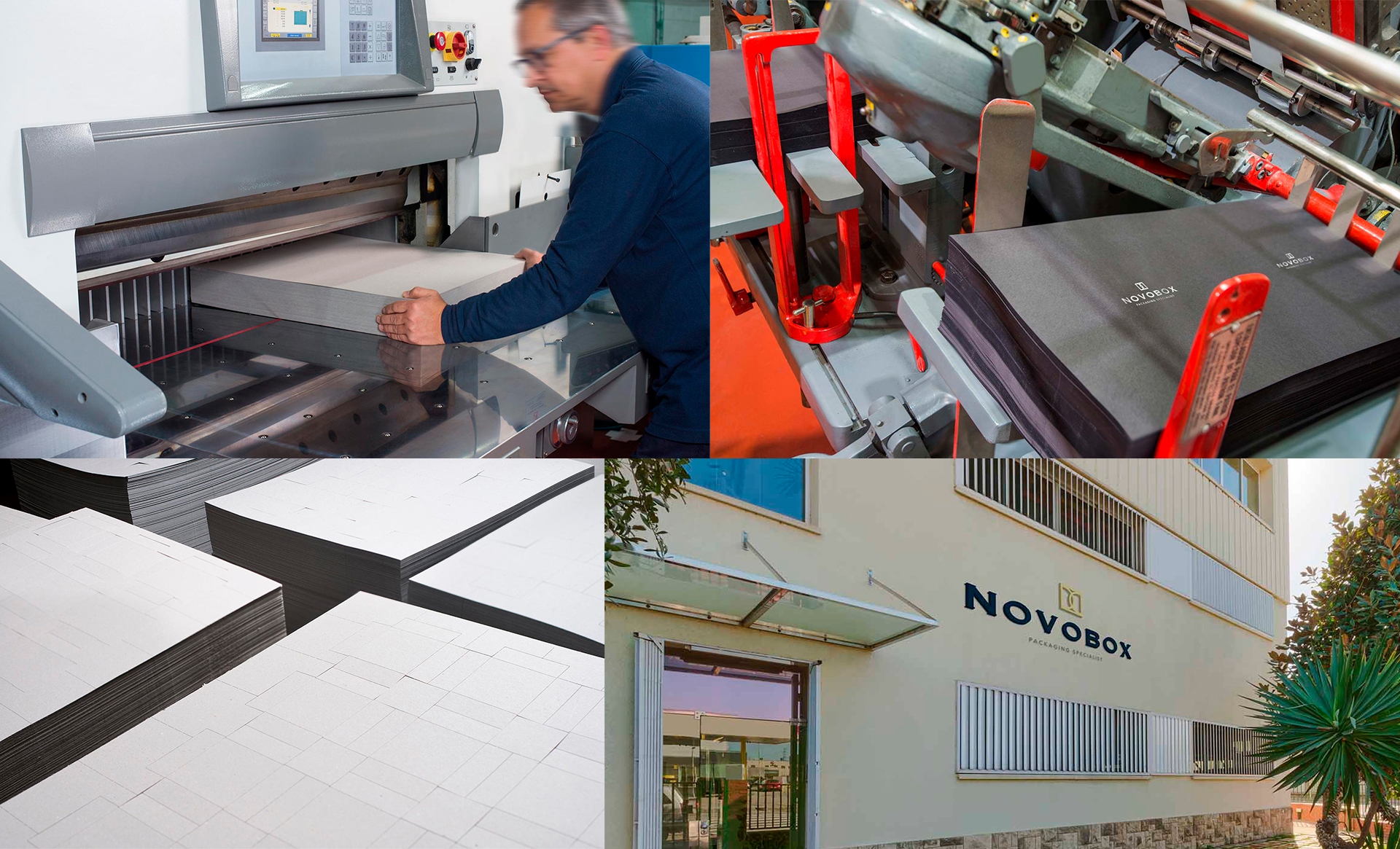 estudio de fotografia exteriores - Imagen de marca y aplicaciones