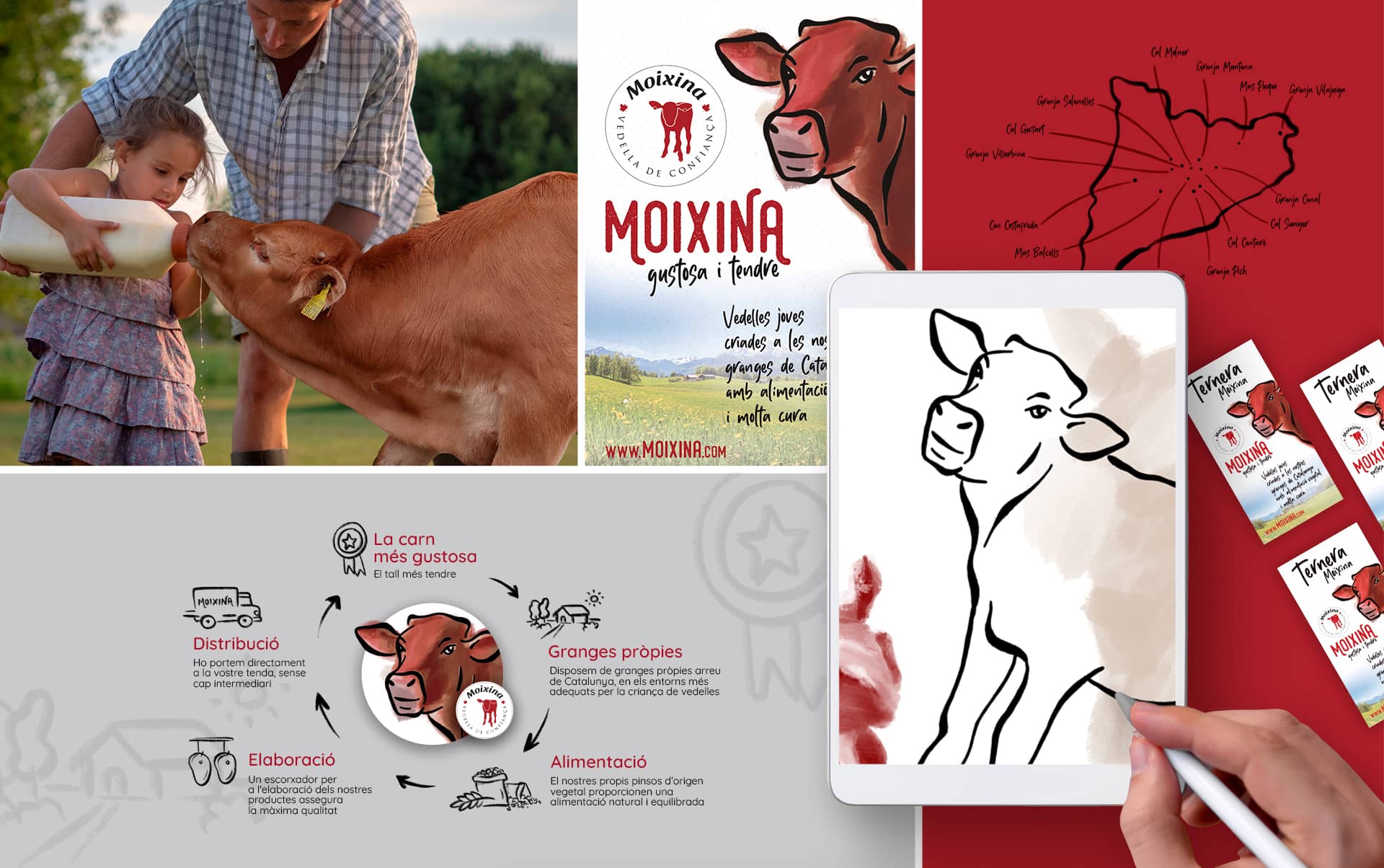 05 creacion de grafica sector carnico - Reposicionamiento de producto para una empresa distribuidora del sector c&aacute;rnico