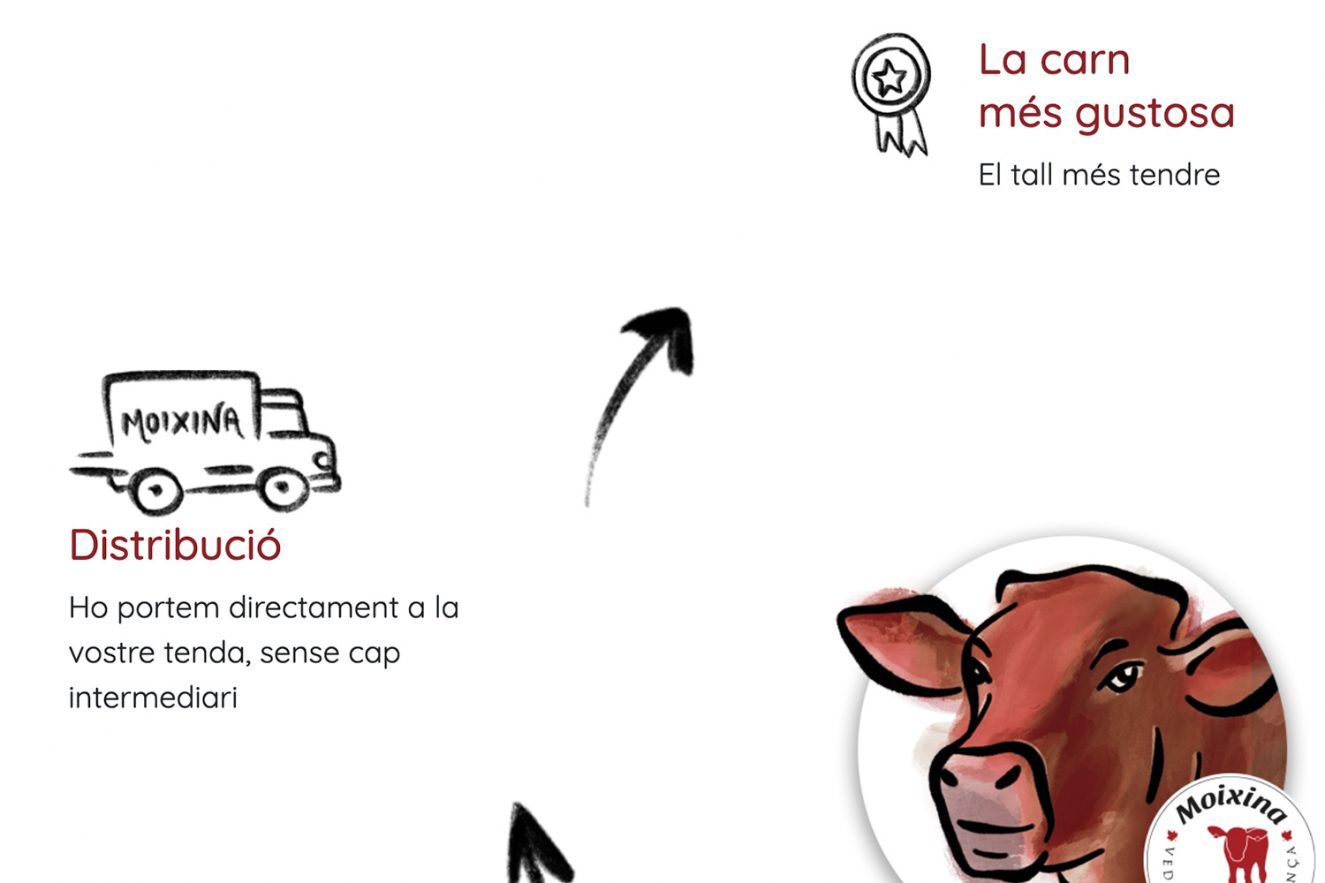 pagina web para alimentacion moixina 1325x883 - Reposicionamiento de producto para una empresa distribuidora del sector c&aacute;rnico