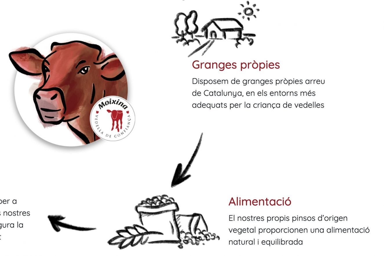 web para empresa de carne barcelona 1325x883 - Reposicionamiento de producto para una empresa distribuidora del sector c&aacute;rnico