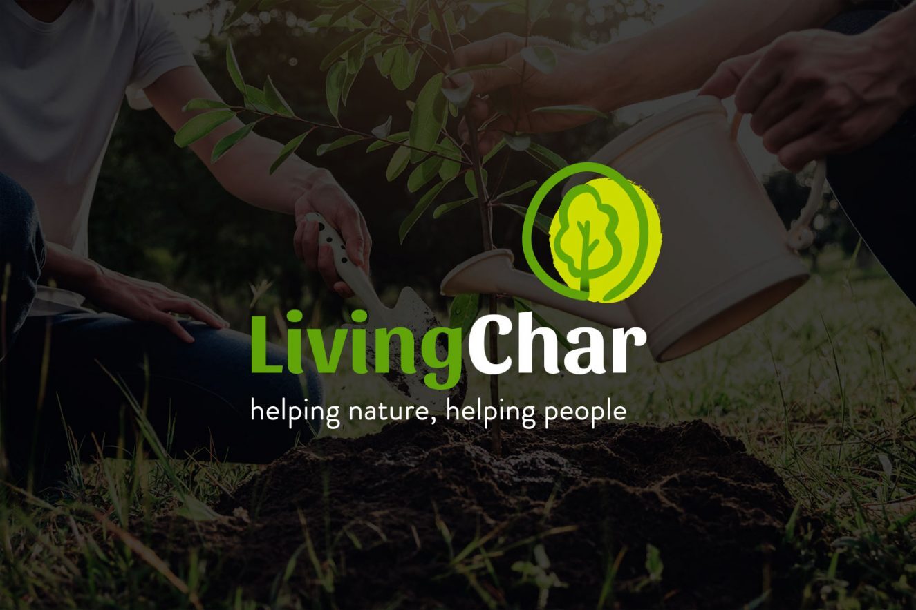 creacion de branding para empresa agricola 1325x883 - Branding, estrategia y acciones y elementos corporativos para empresa del sector agr&iacute;cola