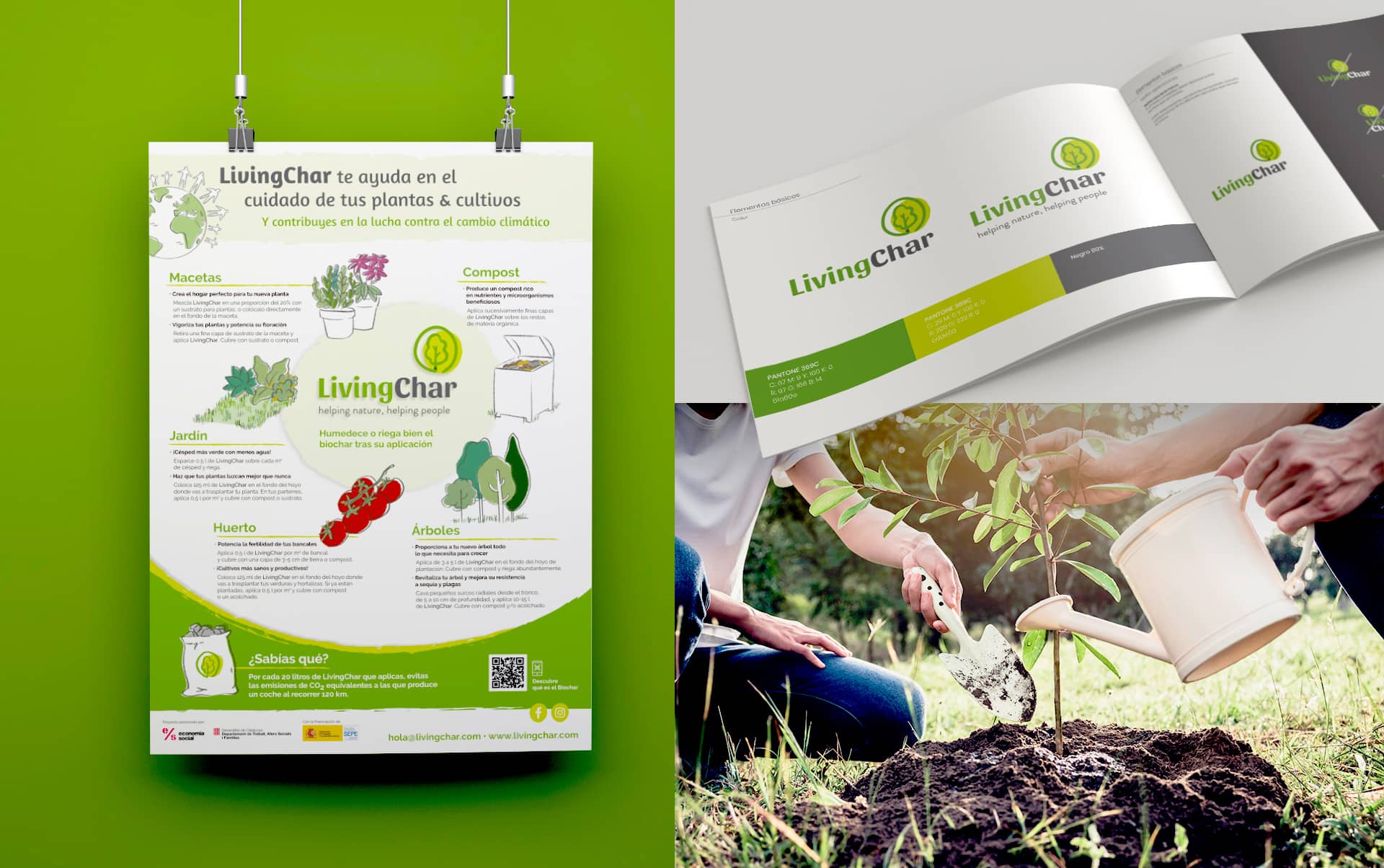 04 creacion de marca para empresa bio - Branding, estrategia y acciones y elementos corporativos para empresa del sector agr&iacute;cola