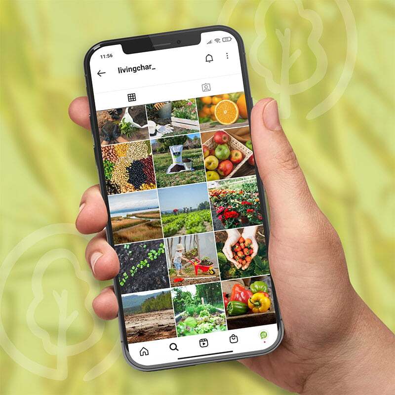 estretegia redes sociales agricultura - Estrategia de acciones en redes sociales