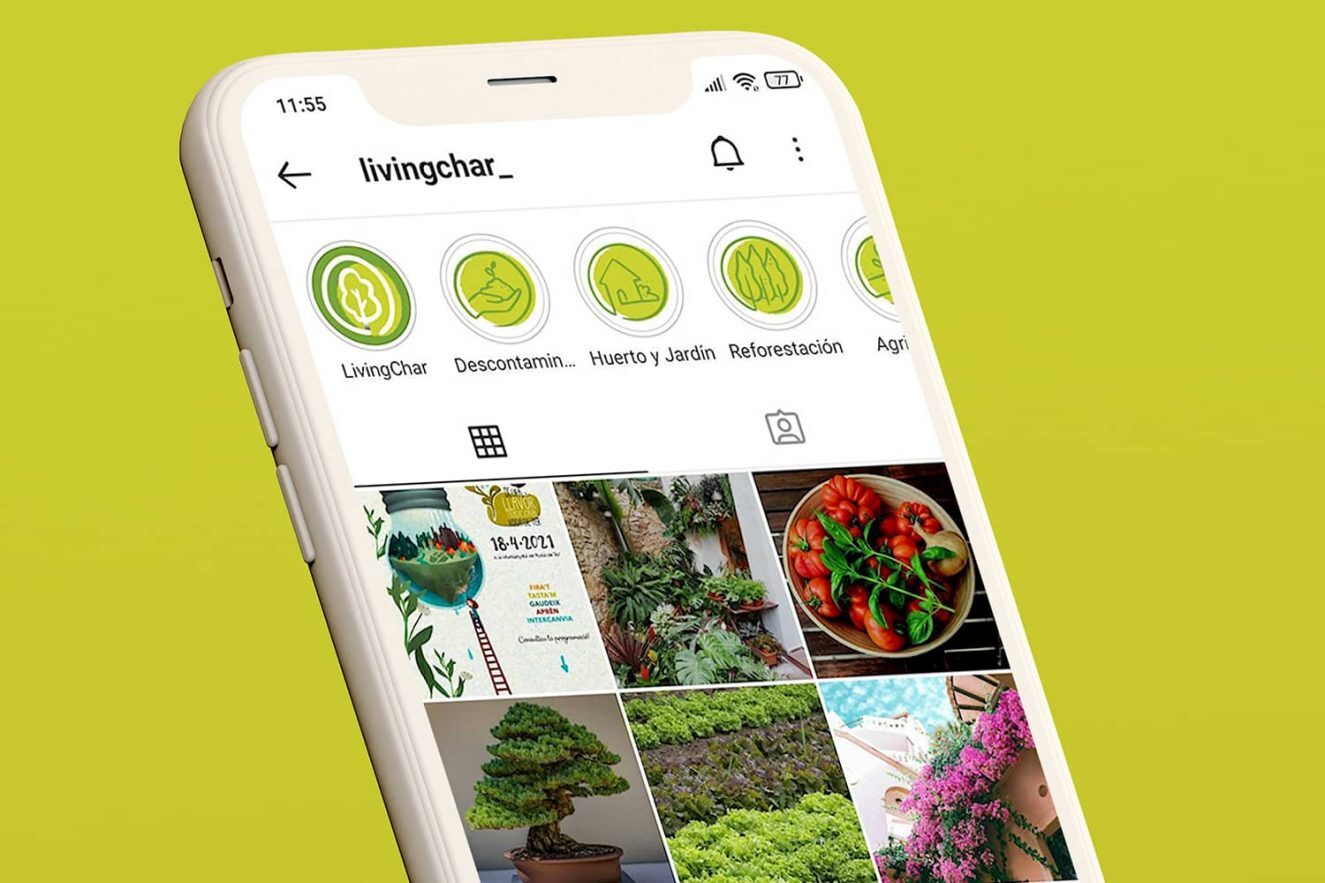 redes-sociales-empresa-biochar