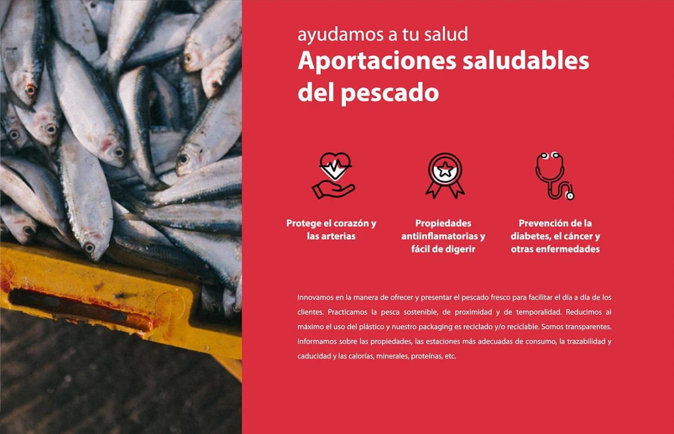 creacion de website alimentacion