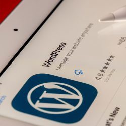 diseno wordpress barcelona