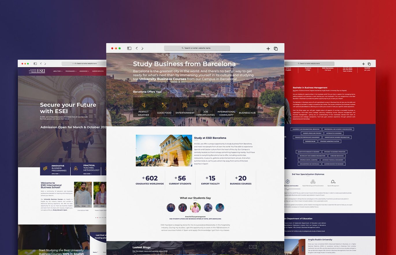 diseno web profesional escuela de negocios