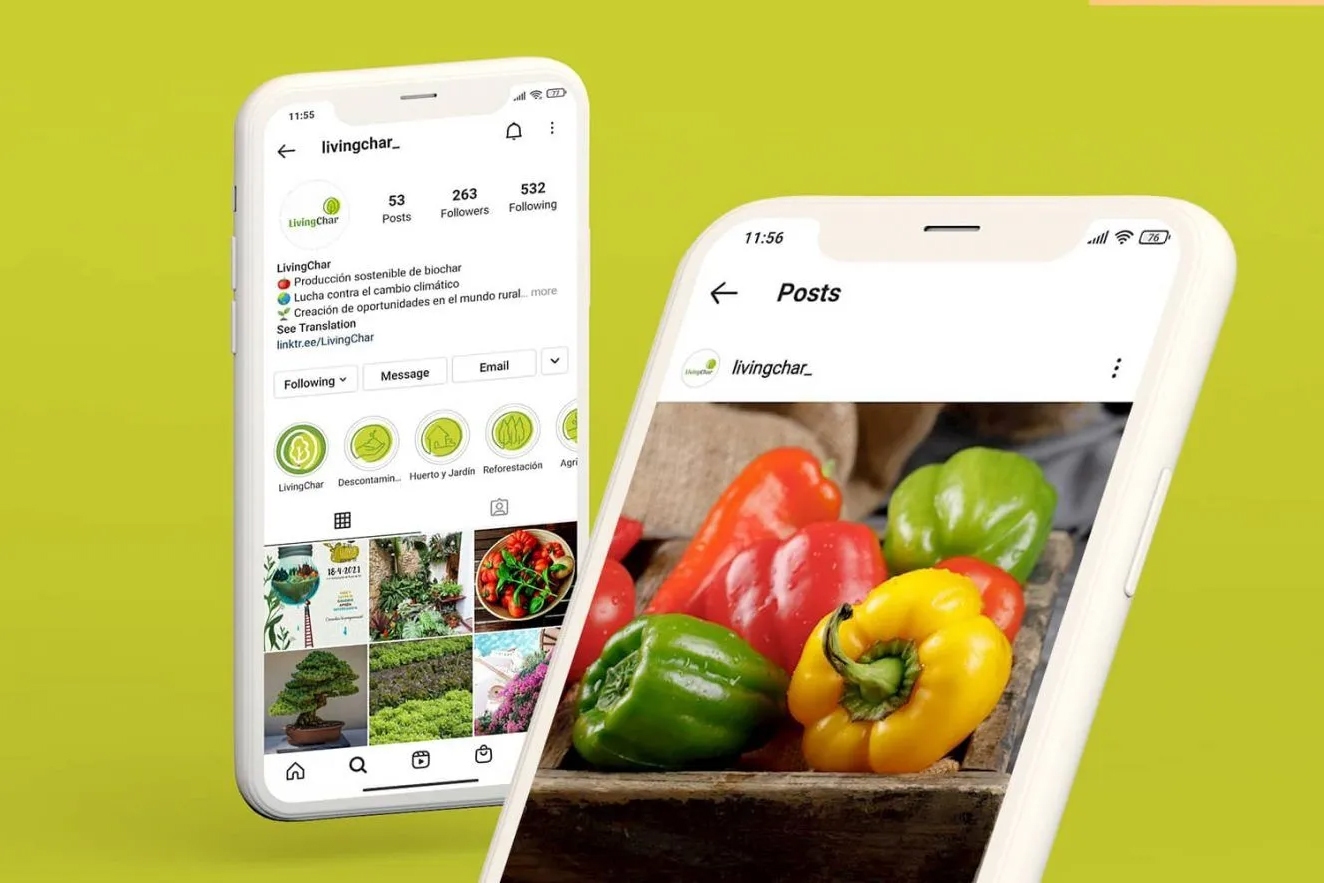 redes  - Branding de Excelencia para el Sector Alimentario: Cuando el Sabor se Convierte en Emoci&oacute;n