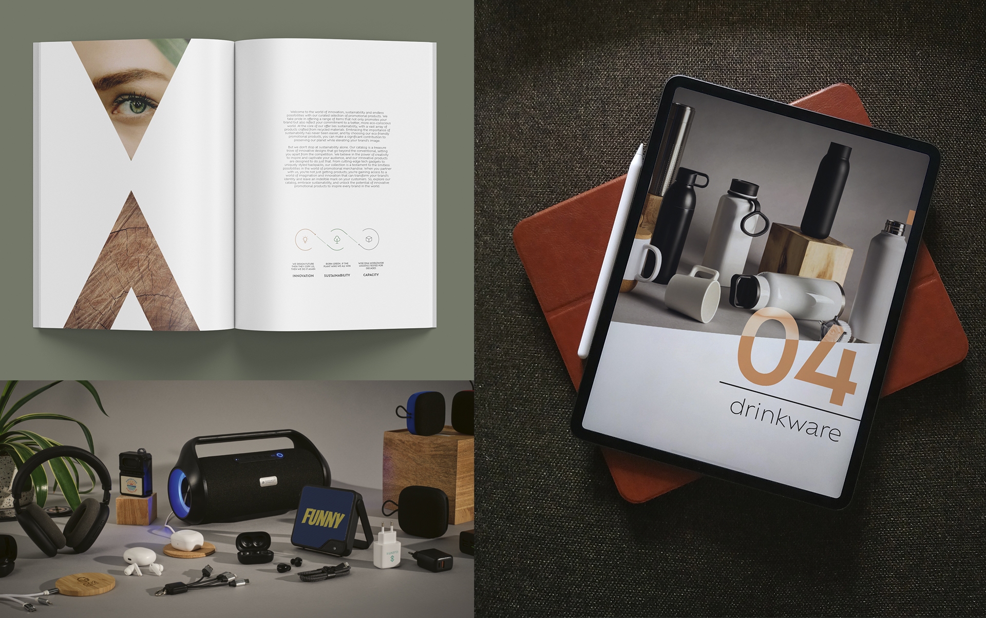 - - Creación de catálogo para AODACi diseno de catalogo - Creación de catálogo para AODACi