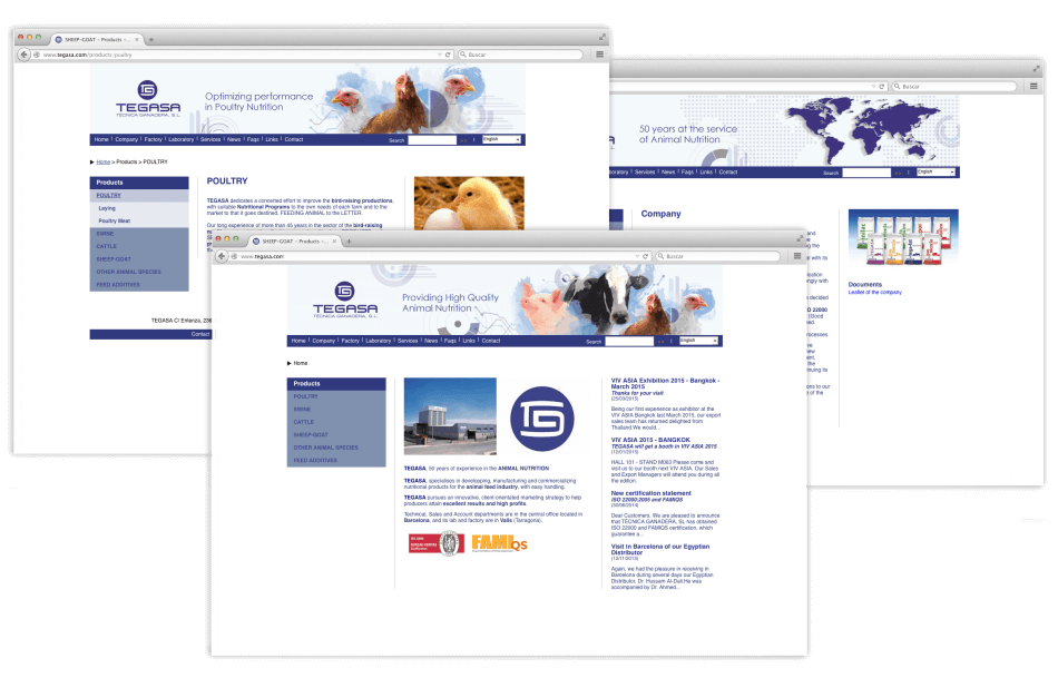 Tegasa Banner web design restyling 950x609 - Tegasa celebra su 50 aniversario rediseñando su gráfica