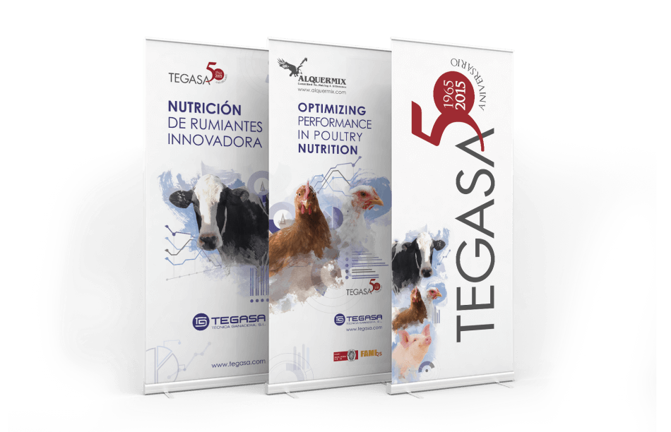 tegasa rollup design graphic estudio nutrition 950x612 - Tegasa celebra su 50 aniversario rediseñando su gráfica