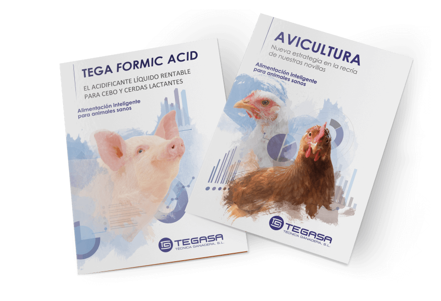 tegasa template diptico branding aniversary marca 895x612 - Tegasa celebra su 50 aniversario rediseñando su gráfica