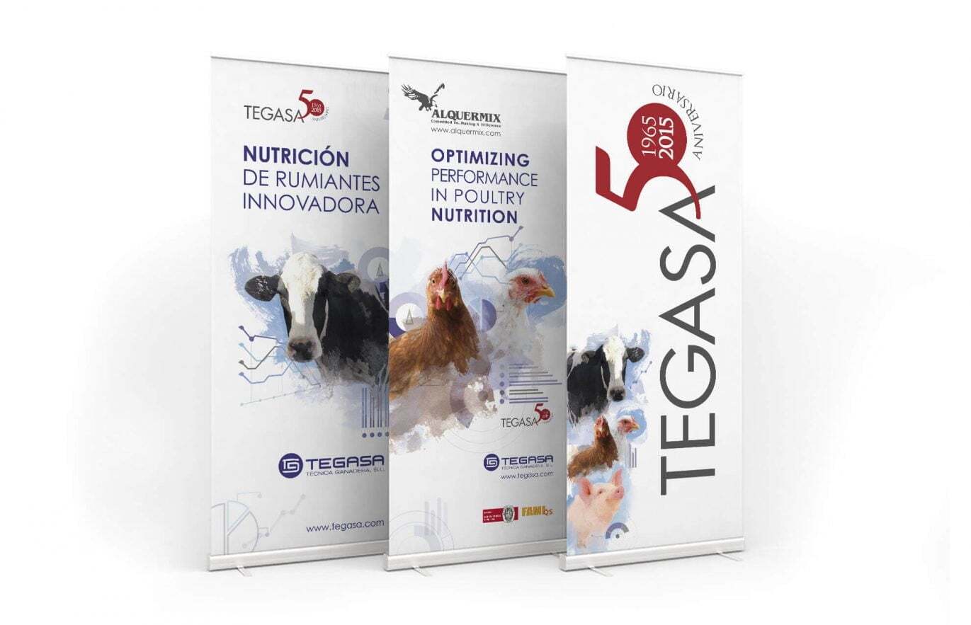 tegasa-rollup-design-graphic-estudio