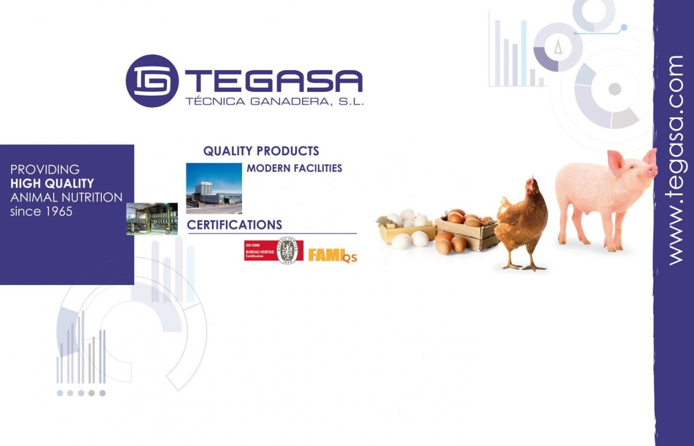 disseny-stands-estudi-barcelona