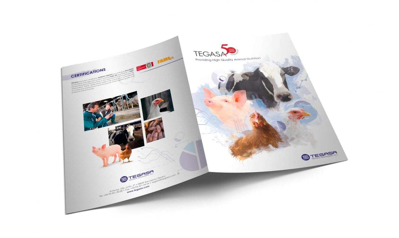 diseno-sales-folder