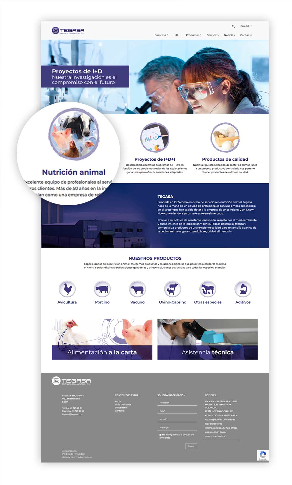 proyectos, diseno-web-2, noticias -  - ¿Quieres crear una web y no sabes cómo empezar? Te damos algunos consejos maquetacion web sector animal - ¿Quieres crear una web y no sabes cómo empezar? Te damos algunos consejos