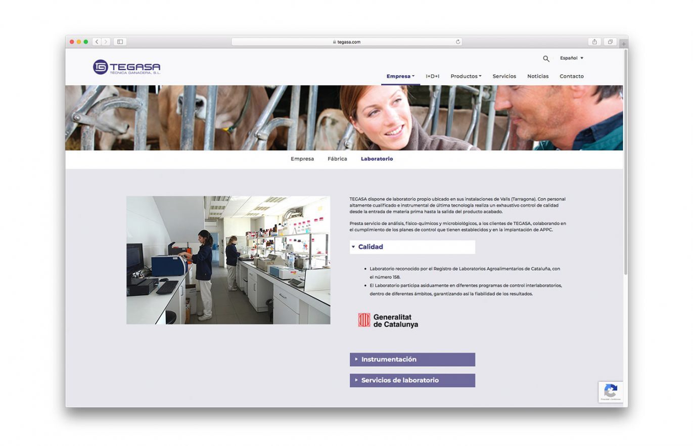 creacion-web-nutricion