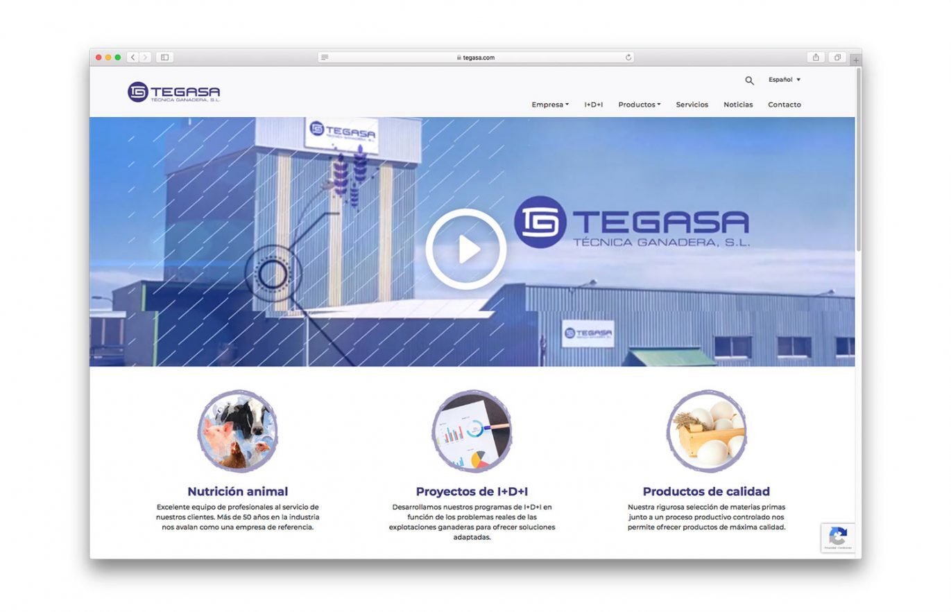 website-para-empresa-animal