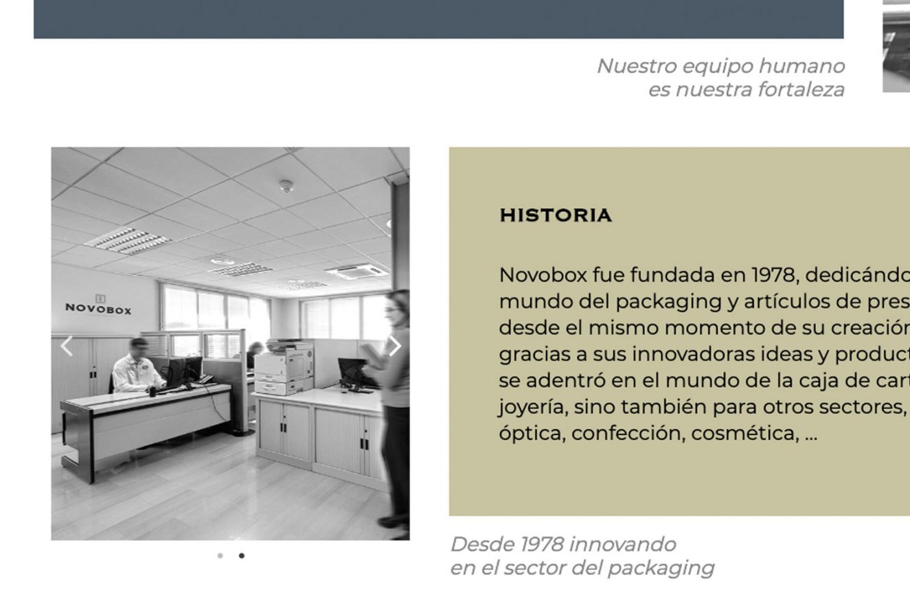 diseno website barcelona 1325x883 - Imagen de marca y aplicaciones