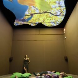 Pipilotti mediactiu 250x250 - Pipilotti Rist “Arte terapéutico”