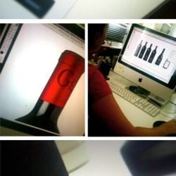 Puiggros sentits negres 250x250 - Diseño de etiquetas vino Bodegas Puiggros