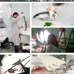 Sessio barufet copia 250x250 - Sesión de fotos Barrufet Group