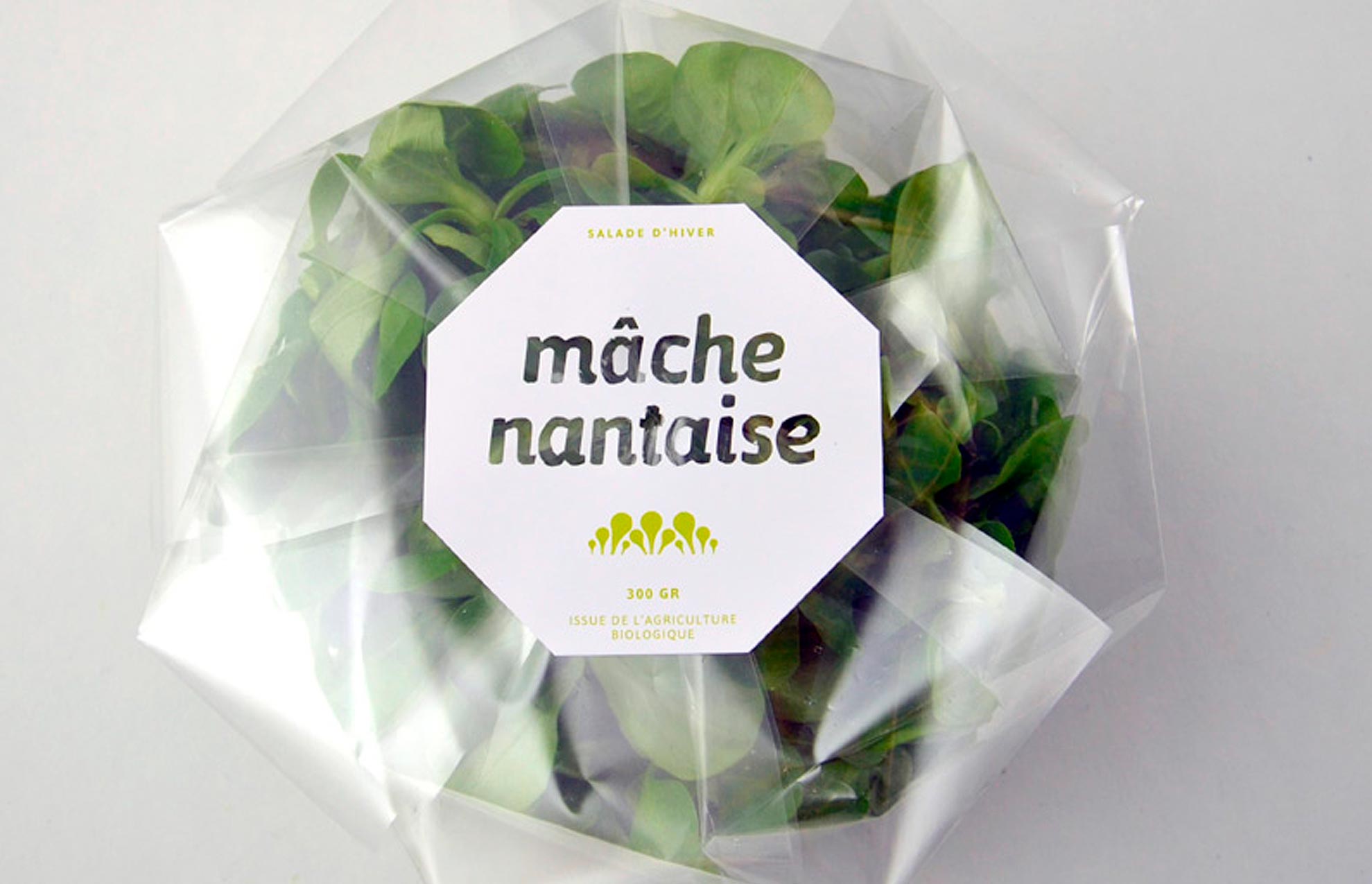 creacion de packaging - &iquest;Es posible hacer un packaging ecol&oacute;gico? Te lo contamos