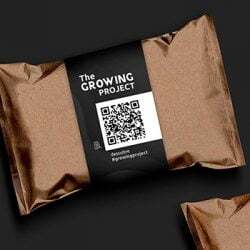 diseno campana marketing 250x250 - Cómo hacer una acción de marketing directo