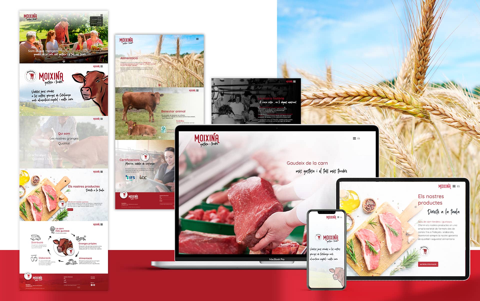 06 diseno de pagina web empresa carnica - Reposicionamiento de producto para una empresa distribuidora del sector c&aacute;rnico