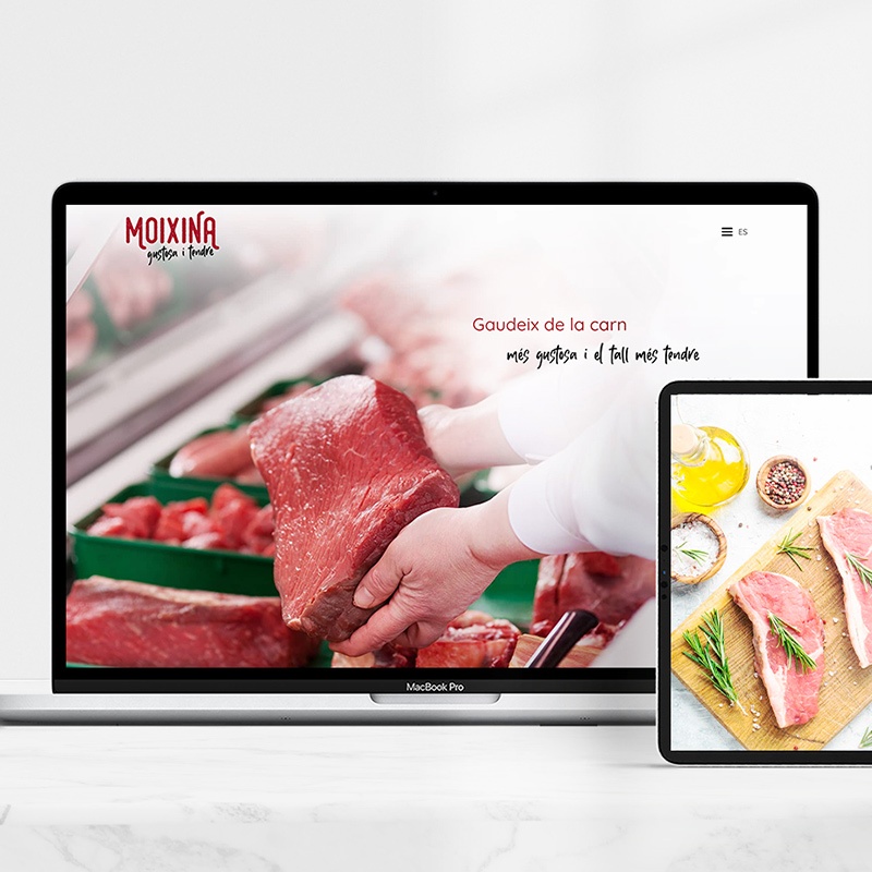 diseno de web moixina - Creación de web para alimentación cárnica