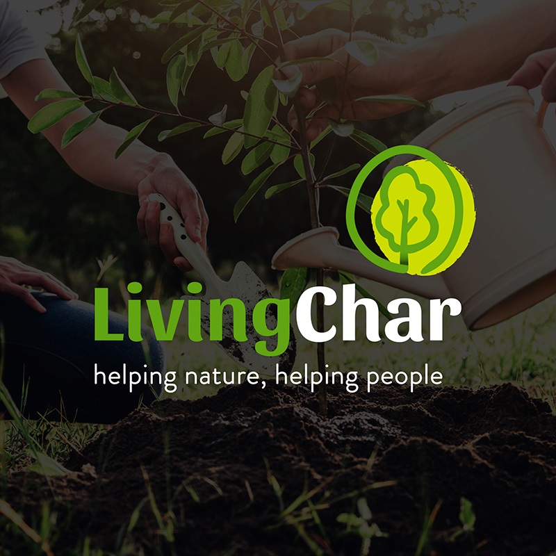 creacion de branding para producto agricola - Branding, estrategia y acciones y elementos corporativos para empresa del sector agrícola