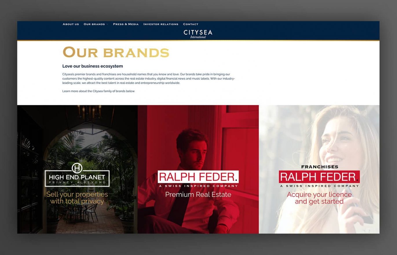 creacion de pagina web para inmobiliaria lujo