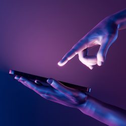 catalogos automatizados de productos