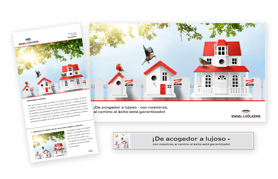 online campaign engelandvolkers 950x612 - Engel & V&ouml;lkers una nueva cuenta que nos reporta 2015