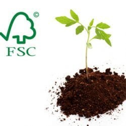 sfc1 250x250 - Papel reciclado o FSC ¿Cuál es la mejor elección?