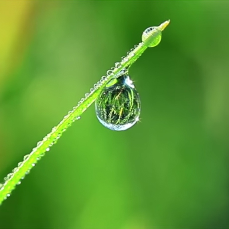 creacion de video promocional - V&iacute;deo corporativo para empresas