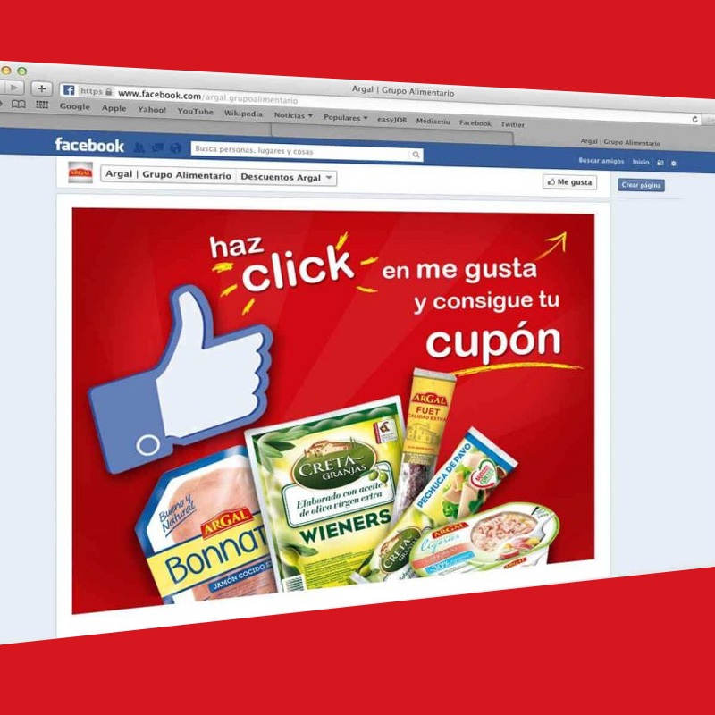 diseno de campana de comunicacion - Campaña de comunicación on-line