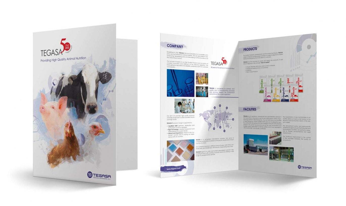 diseno-diptico-corporativo