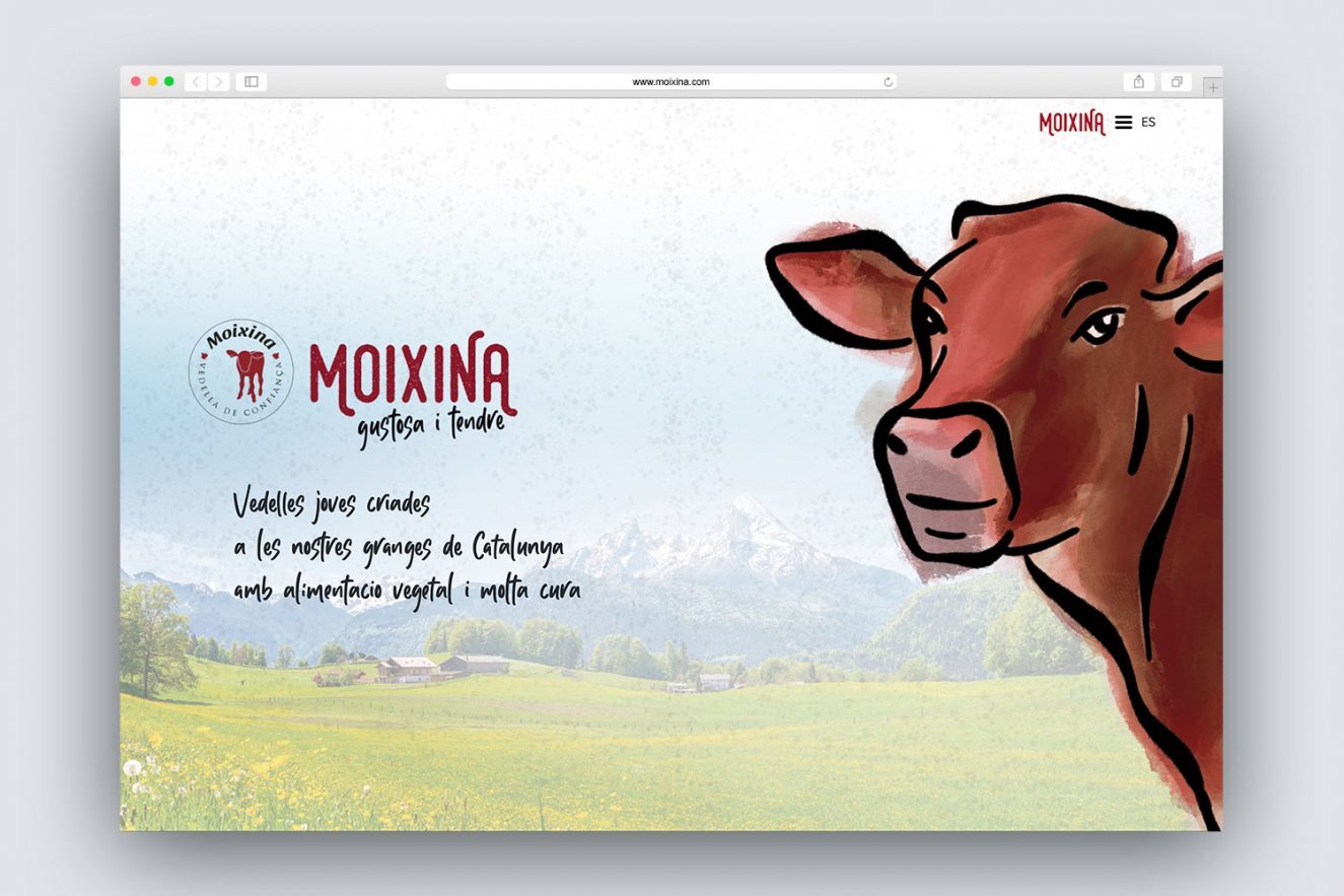 creacion-de-pagina-web-sector-alimentacion