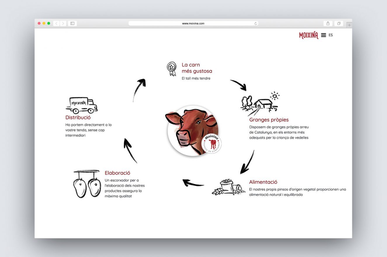 diseno-de-website-alimentacion-barcelona