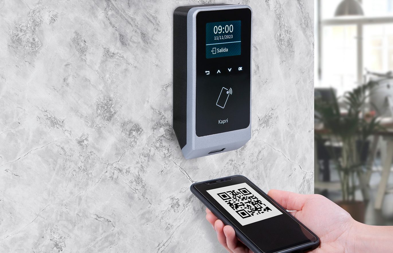 7 pagina web para empresa de control de accesos